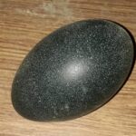 EMU Egg6